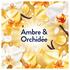Lenor Vloeibaar Wasverzachter Amber & Orchidee 42 Wasbeurten