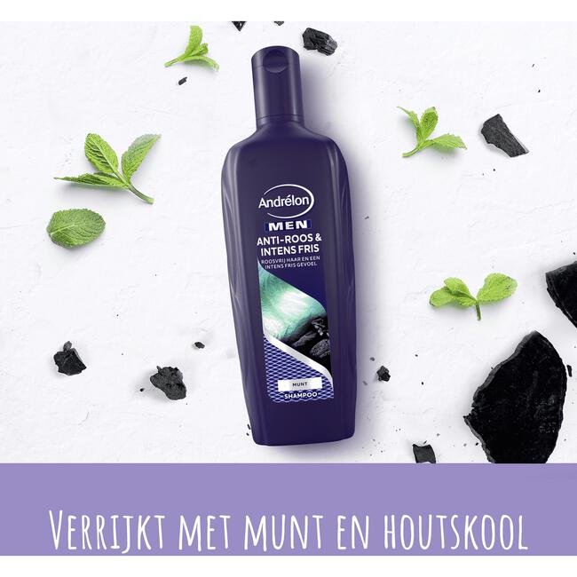 Andrélon Men Anti-roos & Intens Fris Shampoo 300 ML