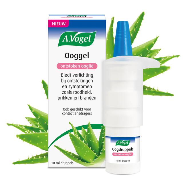 A. Vogel ooggel  ontstoken ooglid