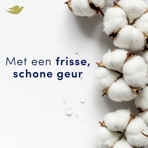 Dove Original 0% Deodorant Roller 50 ML