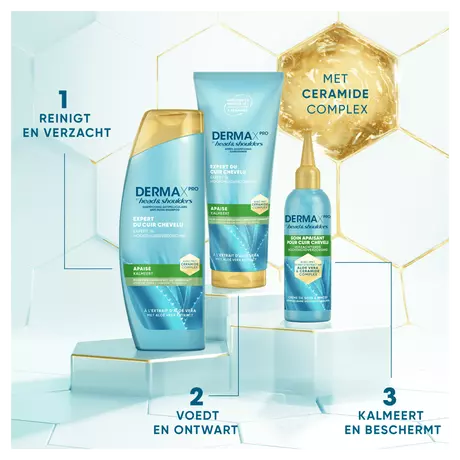 Head & Shoulders Derma X Pro Kalmeert Anti-Roos Conditioner 220 ML