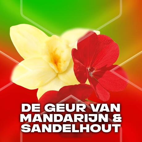 AXE Africa 3-in-1 Douchegel 250 ML