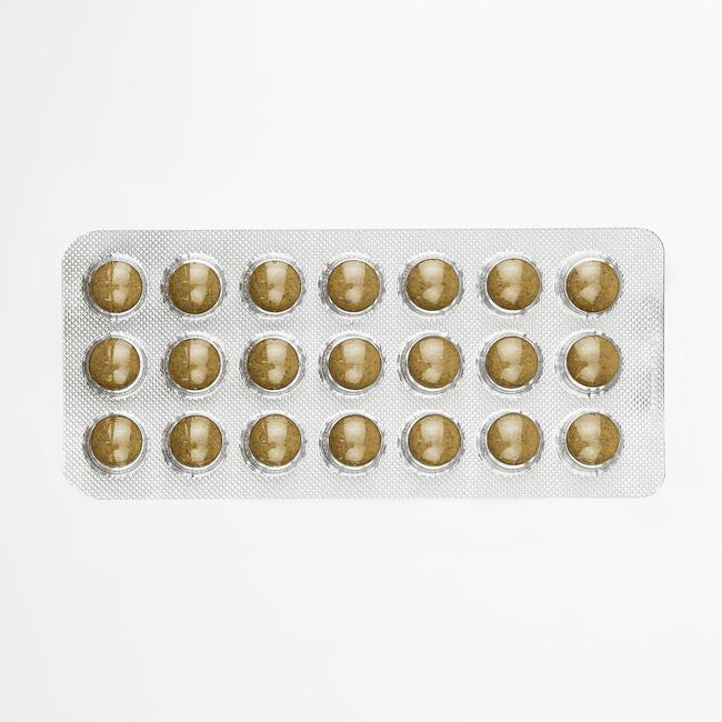 Salus Floradix Ijzer 147 Tabletten