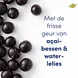 Dove Go Fresh Açaí Berry & Waterlily Anti-Transpirant Deodorant Roller&nbsp;50 ML