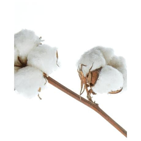 NIVEA Classic Care Milde Shampoo 250ml