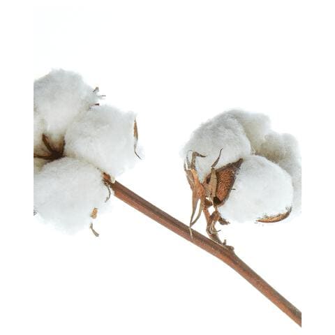 NIVEA Classic Care Milde Shampoo 250ml