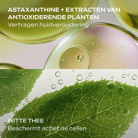 WELEDA Slow Aging Boost Serum Drops 30 ML