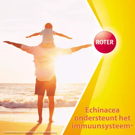 Roter Vitamine C D Immuun Bruistabletten 40 stuks