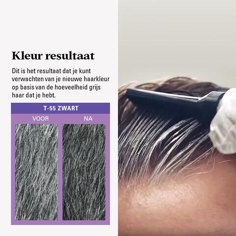 Just For Men Touch of Grey T55