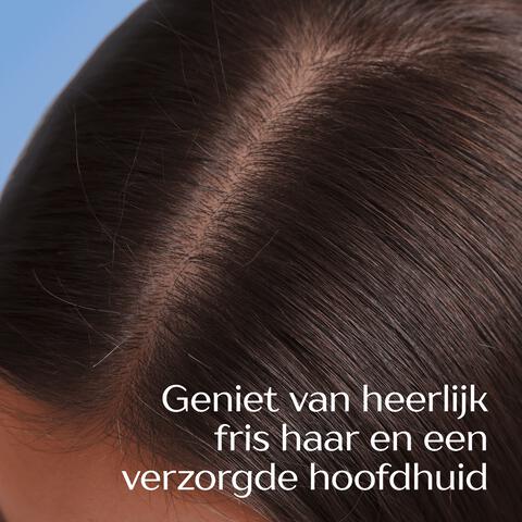 Andrélon Anti-Roos Shampoo 250 ML