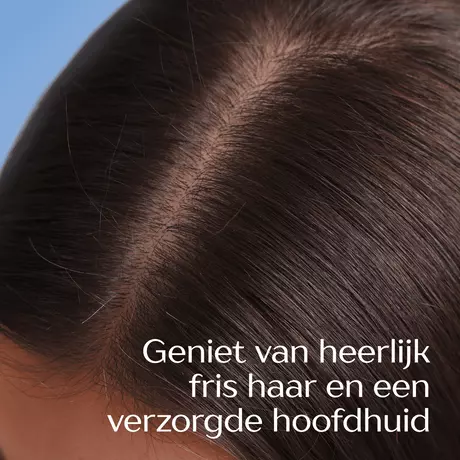 Andrélon Anti-Roos Shampoo 250 ML