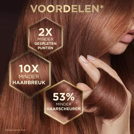 Garnier Loving Blends Honing Goud Herstellende Shampoo 300 ML
