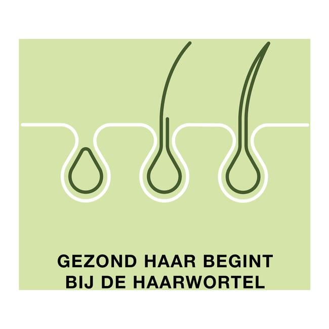 Priorin 120 Capsules Met Biotine Voor Sterk En Vol Haar Van Binnenuit