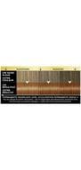 Syoss Oleo Intense 6-78 Koperblond/Blond Cuivré