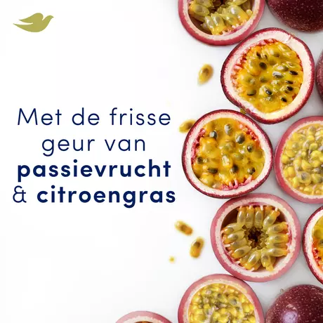 Dove Advanced Care Go Fresh Passion Fruit Anti-Transpirant Deodorant Spray 150 ML&nbsp;