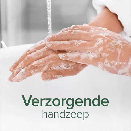 Palmolive Naturals Melk & Olijf Handzeep 300 ML
