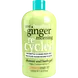 Treaclemoon One Ginger Morning Bad & Douchegel 500 ML