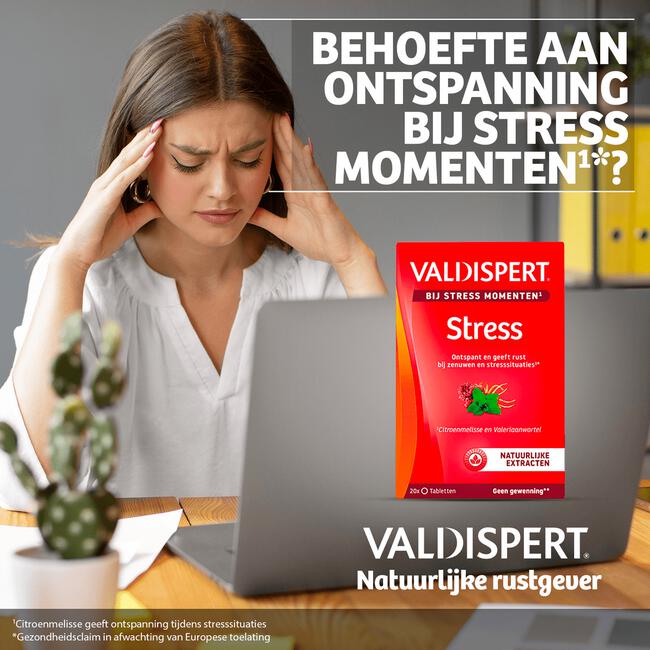 Valdispert Stress Moments 20 tabletten