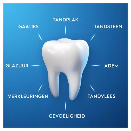 Oral-B Pro-Expert Professionele Bescherming Tandpasta 75 ML
