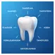 Oral-B Pro-Expert Professionele Bescherming Tandpasta 75 ML