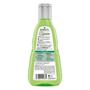 Guhl Fris & Luchtig Shampoo 250 ML