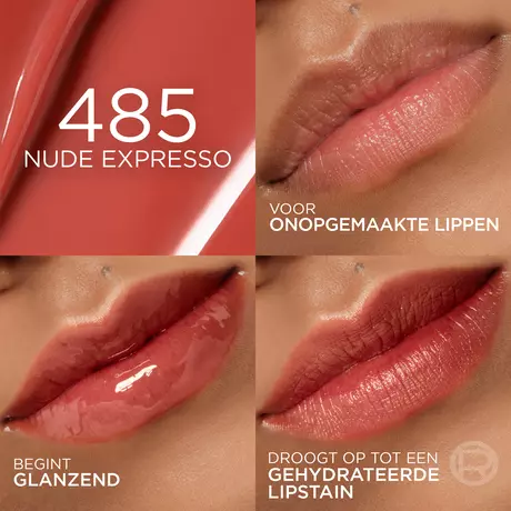 L'Oréal Paris Hyaluron Tint 485 Nude Espresso