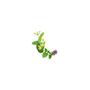 Guhl Gevoelige Hoofdhuid Conditioner 200 ML