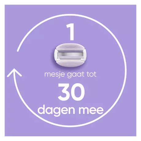 Gillette Venus ComfortGlide Breeze Navulmesjes 12 stuks
