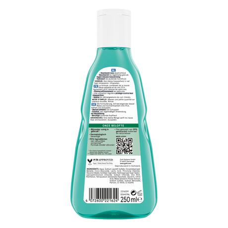 Guhl Anti-Roos Shampoo 250 ML