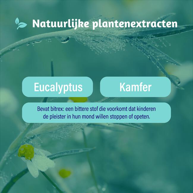 Dampo Inhalatiepleisters 6 pleisters