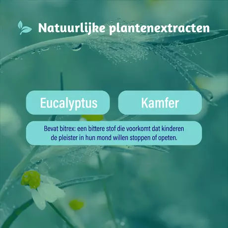 Dampo Inhalatiepleisters 6 stuks