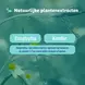 Dampo Inhalatiepleisters 6 stuks