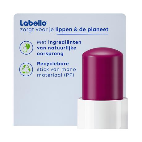Labello Blackberry Shine Lippenbalsem 24u Hydratatie Bordeauxrood 1 Stuk