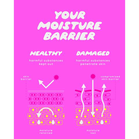 Glow Hub The Barrier Builder Ceramide Moisturiser 50G