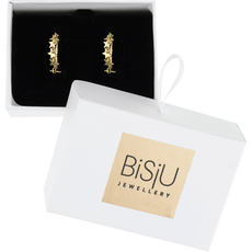 BiSjU Jewellery Oorbellen Ovaal met Zirconia Steentjes Gold Plated