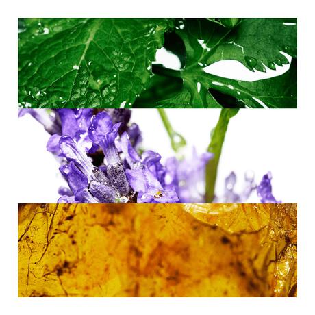 Davidoff Cool Water Men eau de toilette 40 ML