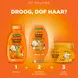 Garnier Loving Blends Argan & Cameliaolie Conditioner 250 ML