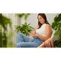 Weleda Duindoorn Handcrème 50 ML