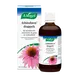 A.Vogel Echinaforce Bij Onvoldoende Weerstand En Griep Druppels 100 ML