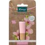 Kneipp Sensitive Care Almond Candelilla Lippenbalsem