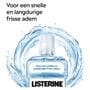 Listerine professional fresh breath+500ml