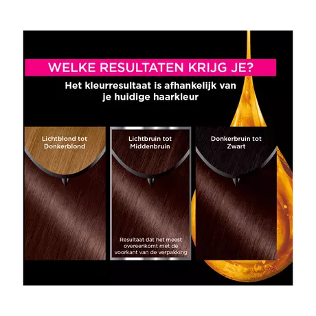 Garnier Olia Permanente Haarverf 4.15 IJs-Kastanjebruin