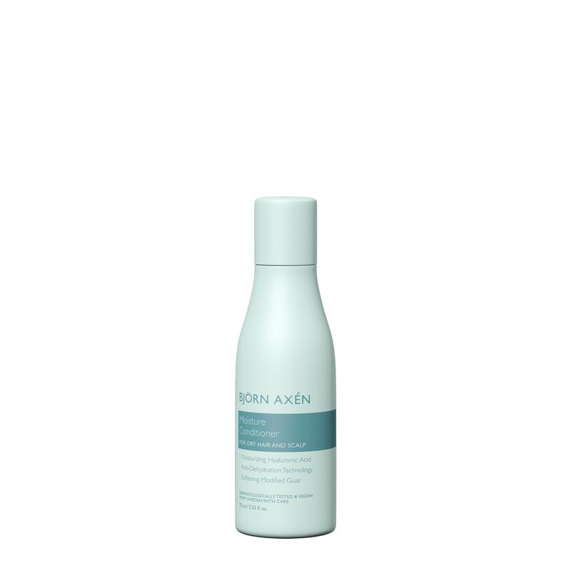 Björn Axén Moisture Conditioner 75 ML