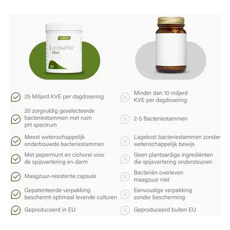 Nupure Probaflor Plus Probiotica Pepermunt Chicorei Capsules 60 stuks