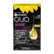 Garnier Olia Permamente Haarverf 2.0 Black Diamond
