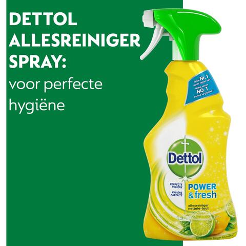 Dettol Spray Citrus 500 ML