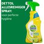 Dettol Spray Citrus 500 ML