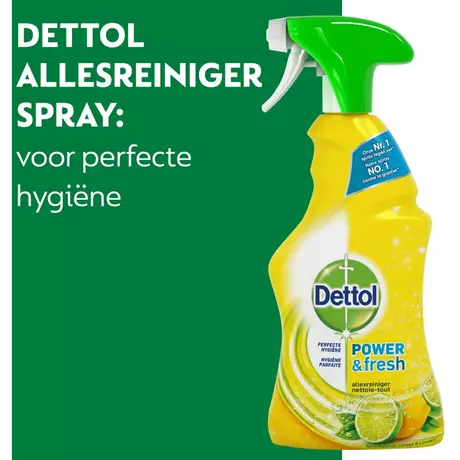 Dettol Spray Citrus 500 ML
