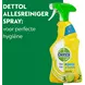 Dettol Spray Citrus 500 ML