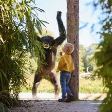 Entreeticket Eindhoven Zoo vanaf 3 jaar